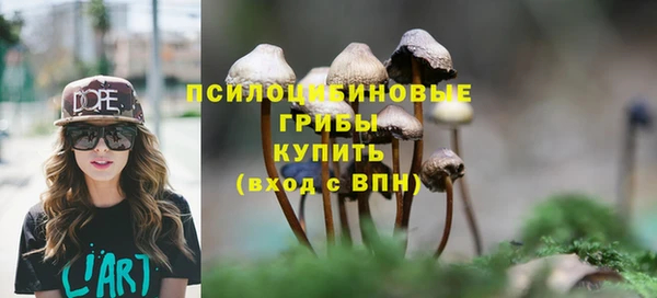 экстази Медвежьегорск