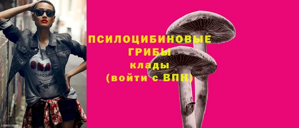 прущая мука Медногорск