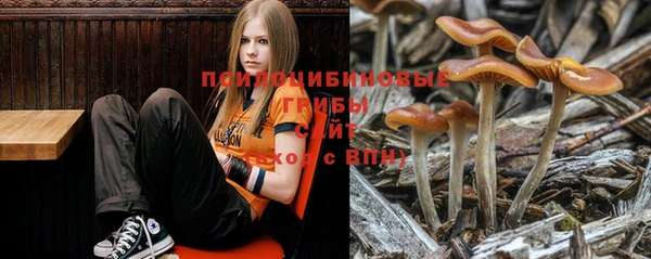 хмурый Мегион