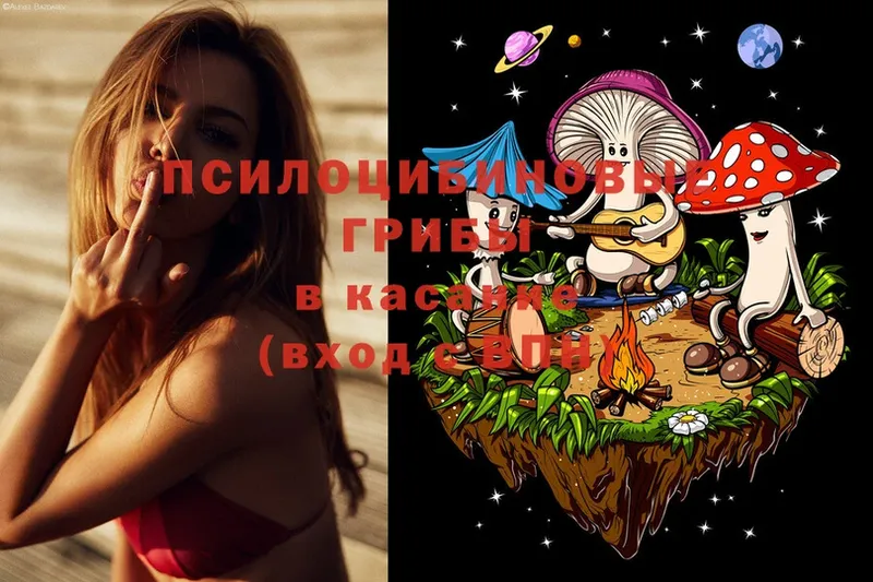 Псилоцибиновые грибы Psilocybe Малая Вишера