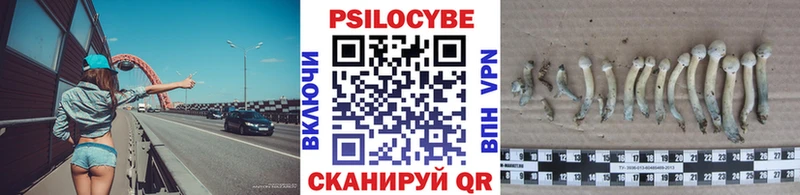 omg ссылки  Малая Вишера  Псилоцибиновые грибы Cubensis 