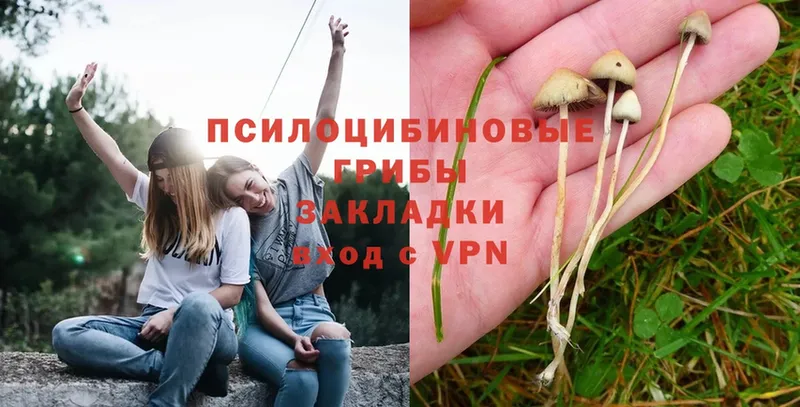 Псилоцибиновые грибы MAGIC MUSHROOMS  даркнет сайт  Малая Вишера 