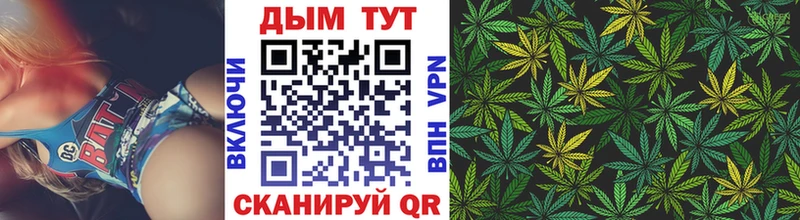 Бошки марихуана ГИДРОПОН  darknet как зайти  Малая Вишера 